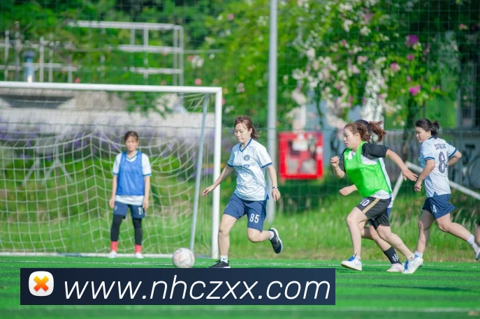 九游j9官网入口老版本发展历程